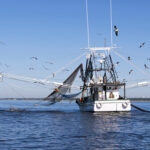 Commercial Fishing Accidents
